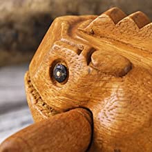 Wooden Frog