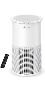 Air Purifiers Large Room 1200 ft2 - Dreamegg True HEPA Air Purifier for Allergies with Pollen Mode