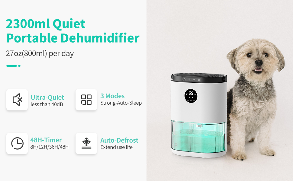 dehumidifier