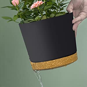 plant pot