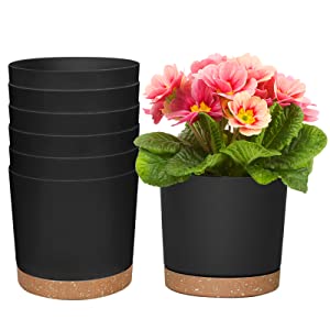 plant pot