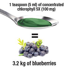 chloryphil liquid chloraphil liquid liquid chlorophyll organic