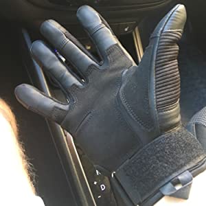 gloves show