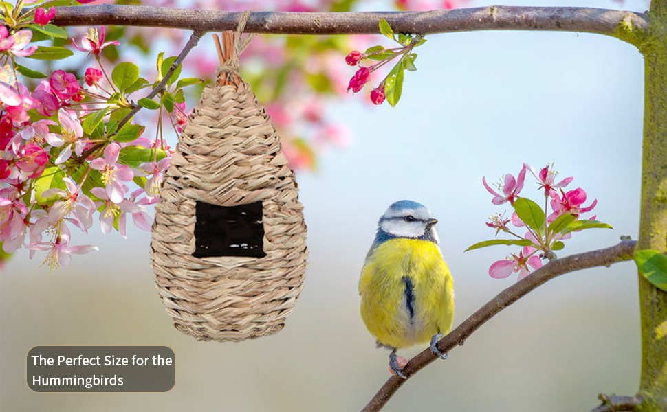 bird house bird houses bird houses outdoor