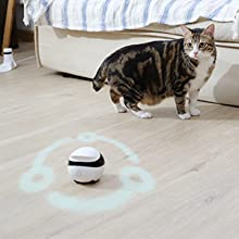 Enabot Home Robot