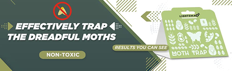 cloth moth trap
