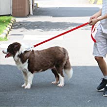 long leash for large dogs,50 foot dog leash,dog leashes,extra long leash,long leash for backyard