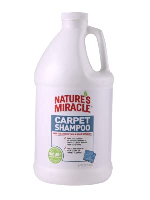 carpet shampoo