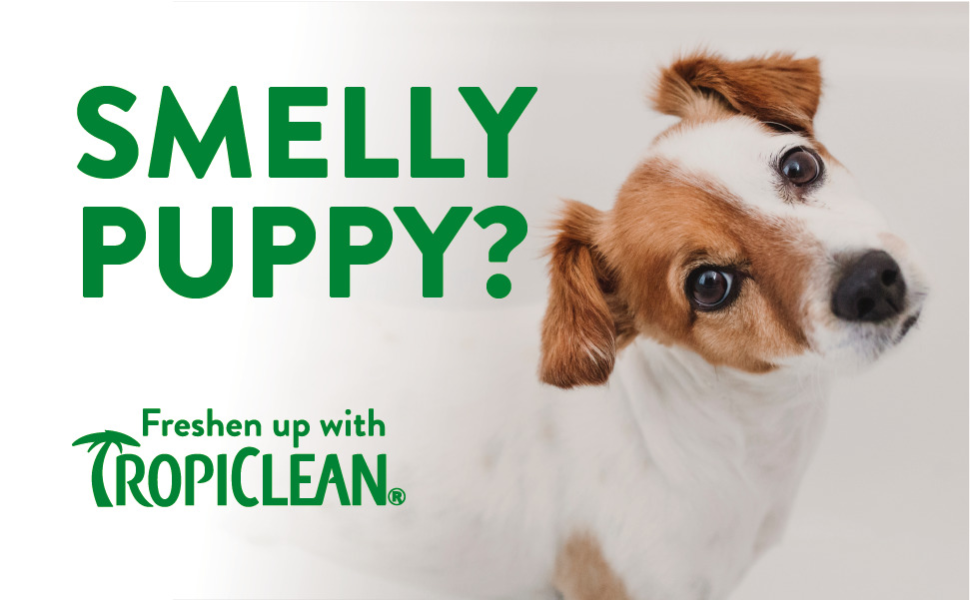 Smelly Dog cleanser perro pet shampoo relief mascotas