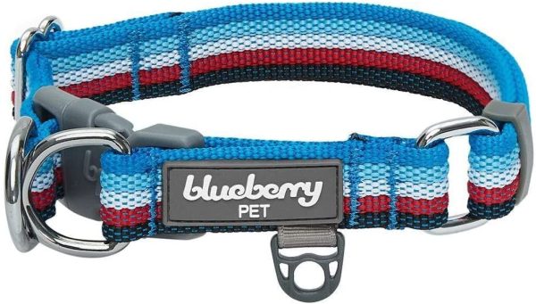 Blueberry Pet 3 Colors Multi-Colored Stripe Adjustable Dog Collar, Azure Blue and Raspberry Red, Small, Neck 12"-16" - Image 4