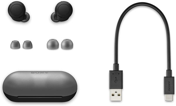 WF-C500 Truly Wireless in-Ear Bluetooth Earbud Headphones with Mic and IPX4 Water Resistance, Black - Image 9