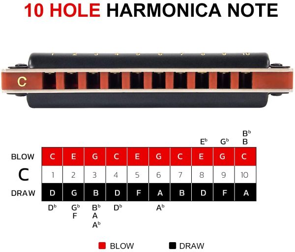 AKLOT Blues Harmonica 10 Hole Diatonic Harp Key of C Blues Harp 20 Tones for Adult and Kid with Hard Case - Image 7