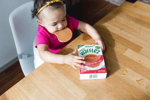 Toddler Snack, Sprout Organic Wafflez Pumpkin Butter & Jelly - Image 5