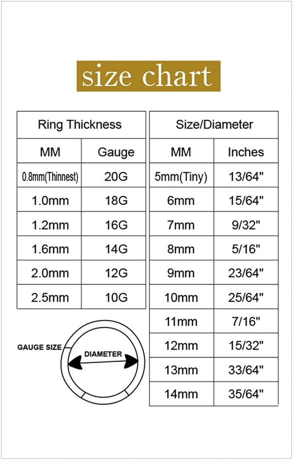 Orangelove Hypoallergenic Nose Rings 20G 18G 16G 14G 316l Surgical Steel Piercing Jewelry Hinged Segment Ring Body Piercing Nose Hoop Lip Rings Nose Helix Cartilage Rook Earrings for Men Women