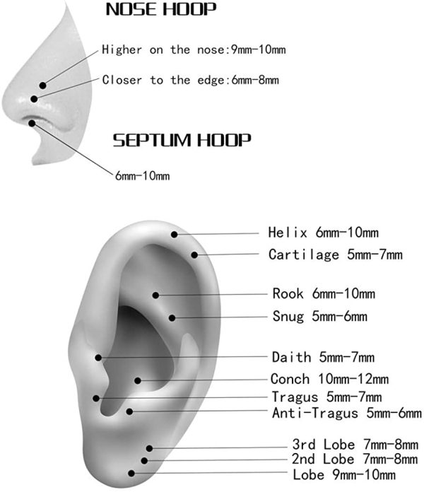 Orangelove Hypoallergenic Nose Rings 20G 18G 16G 14G 316l Surgical Steel Piercing Jewelry Hinged Segment Ring Body Piercing Nose Hoop Lip Rings Nose Helix Cartilage Rook Earrings for Men Women - Image 2