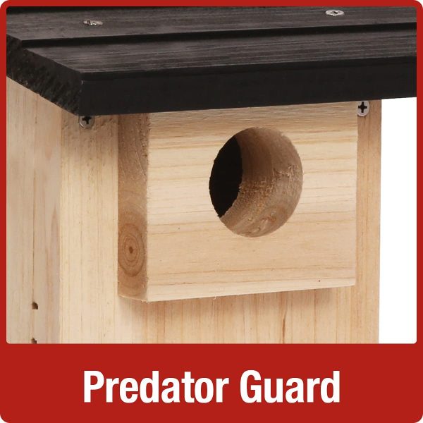 Nature's Way Bird Products CWH4 Cedar Bluebird Viewing House