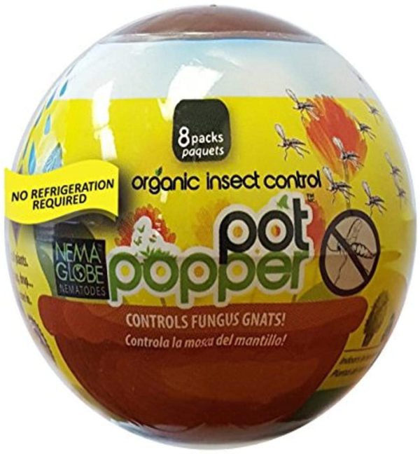 Nema Globe Pot Popper Organic Indoor Fungus Gnat & Insect Control 8x1 Million Beneficial Nematodes (S.Feltiae) - Image 2