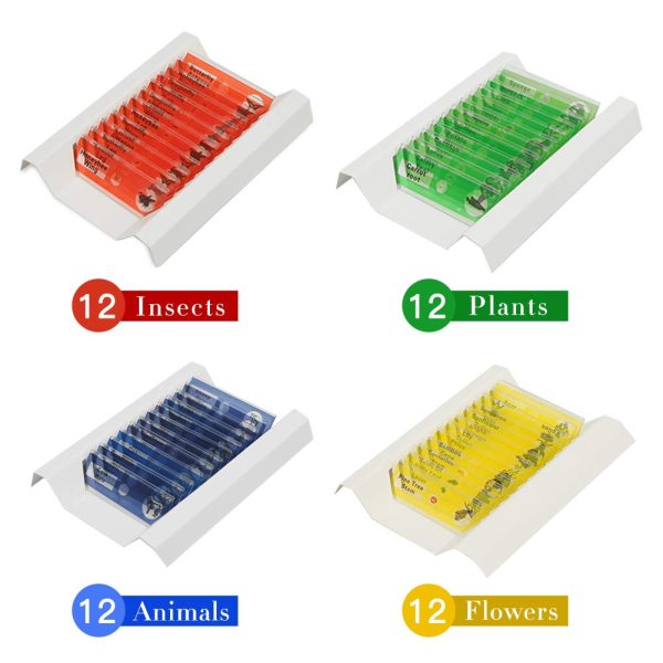 48 Pack Microscope Slide Collection of Insect Animal and Plant Specimens for Basic Biology Education and Science Exhibition Projects for Kids & Students - Image 5