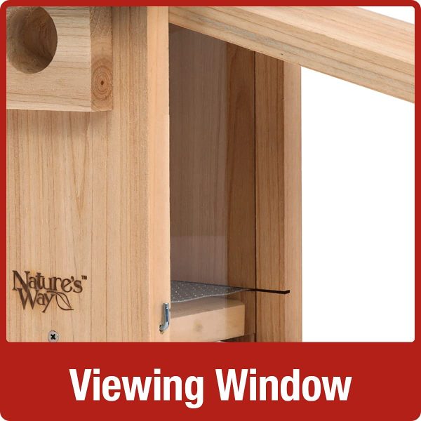 Nature's Way Bird Products CWH4 Cedar Bluebird Viewing House - Image 3