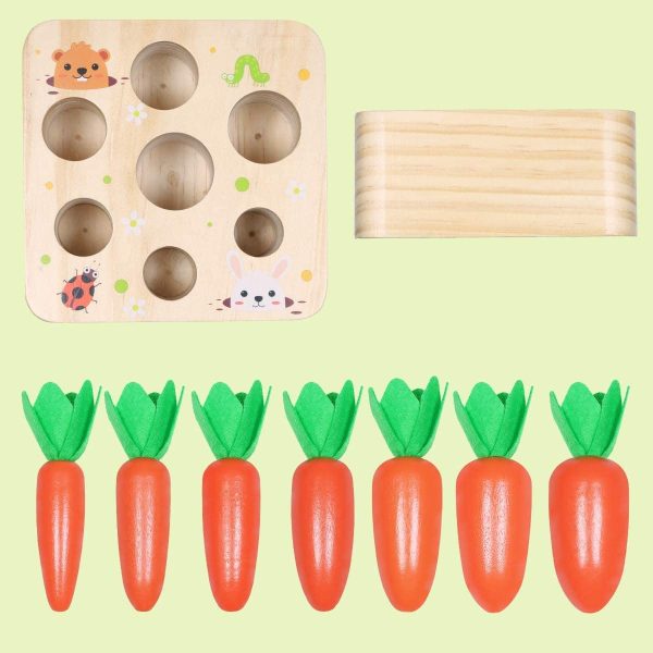 M-Aimee Educational Wooden Toys for Toddlers, Carrots Harvest Shape Size Sorting Game, Developmental Montessori Toys for 3 Year Old Boys and Girls Preschool Learning Fine Motor Skill