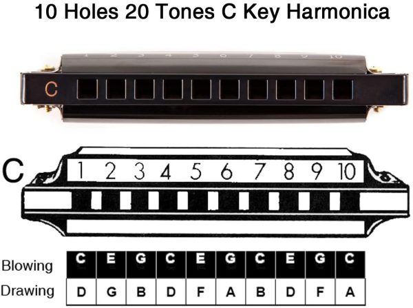 JSL Harmonica, Standard Diatonic Key of C 10 Holes 20 Tones Blues Mouth Organ Harp For Kids, Beginners, Professional, Students (Black)