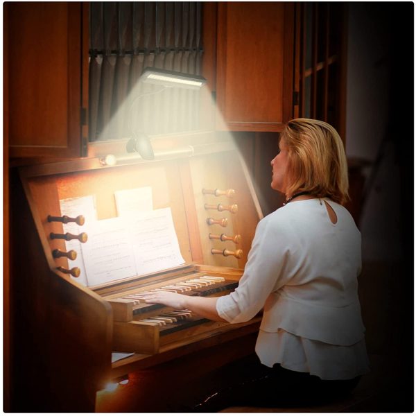 Rechargeable Book Light, Clip On Music Stand Light, 19 LEDs Reading Light - 3 Level Brightness Settings 3 Color Temperature Optional, LED Desk Lamp Perfect for Piano, Reading, Sewing, Working, Office