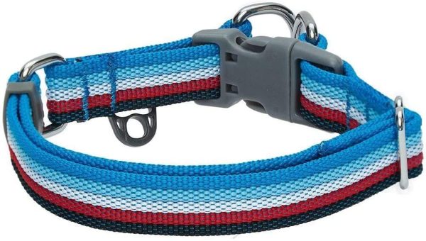 Blueberry Pet 3 Colors Multi-Colored Stripe Adjustable Dog Collar, Azure Blue and Raspberry Red, Small, Neck 12"-16" - Image 6