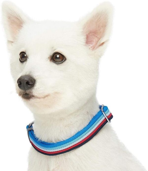 Blueberry Pet 3 Colors Multi-Colored Stripe Adjustable Dog Collar, Azure Blue and Raspberry Red, Small, Neck 12"-16" - Image 5