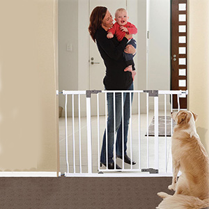 dog gates for doorways