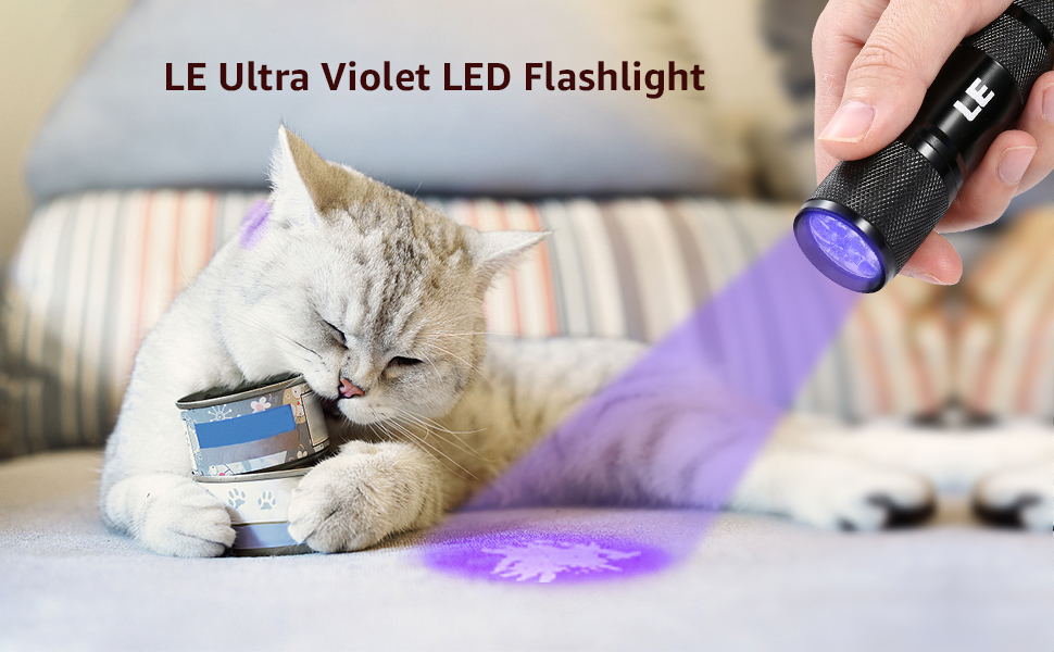 UV Flashlight