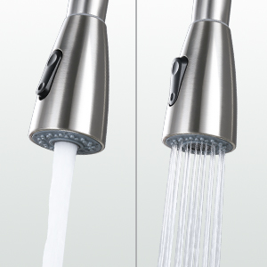 kitchen faucet with sprayer