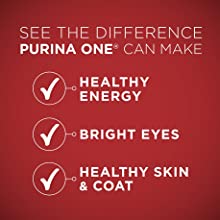 purina dog food, premium dog food, dry dog food