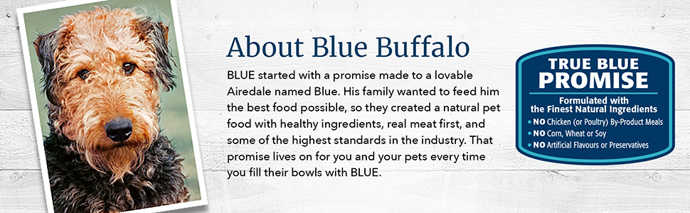 About Blue Buffalo Natural Dog Dry Food 