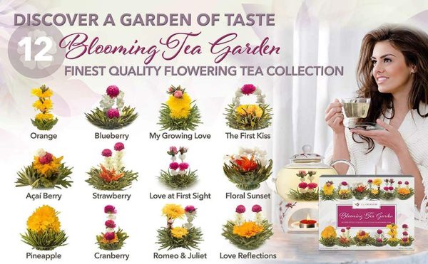 Teabloom Flowering Tea Chest - Curated Collection of 12 Varieties of Flowering Teas Packaged in Beautiful Gift-Ready Tea Box - Image 6