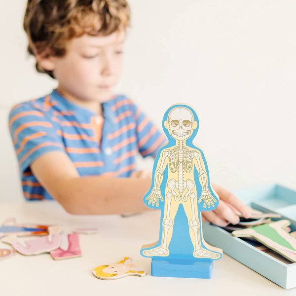 Melissa & Doug Magnetic Human Body Anatomy Play Set (Anatomically Correct Boy and Girl Magnets, 24 Magnetic Pieces and Storage Tray) - Image 2