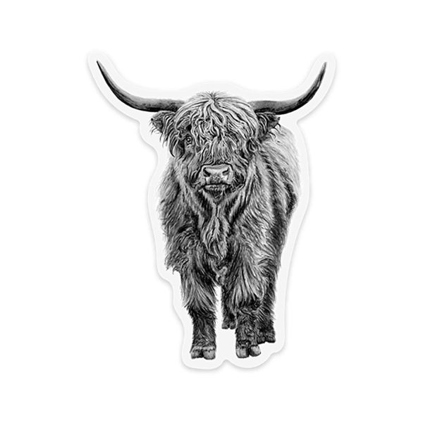 Highland Cow Sticker