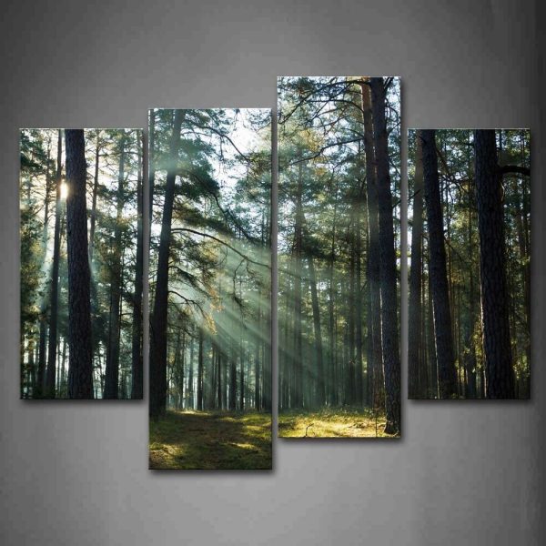 Sunshine Through Forest Wall Art Painting Pictures Print On Canvas Landscape The Picture for Home Modern Decoration - Image 3