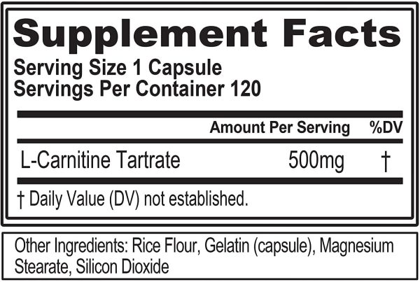 Evlution Nutrition L-Carnitine500, 500 mg of Pure L Carnitine in Each Serving, 120 Count, Stimulant-Free, Capsules - Image 3