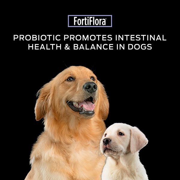 Purina Pro Plan Veterinary FortiFlora Probiotic Dog Supplement 30 x 1g - Image 7