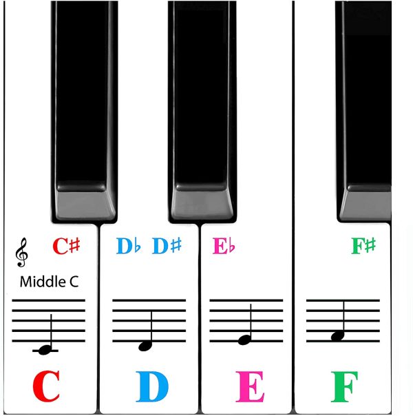 QMG Piano Stickers for 61-Key Keyboard, Bright Colorful Stickers, Perfect Visual Tool for Kids and Beginner Learning Piano, Transparent and Removable, Leaves No Residue, Made in USA - Image 3