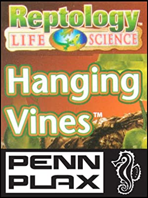 reptology hanging vines penn plax