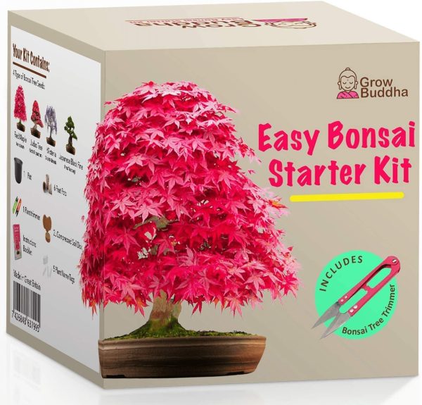 Grow Your own Bonsai kit ??Easily Grow 4 Types of Bonsai Trees with Our Complete Beginner Friendly Bonsai Seeds Starter kit ??Unique Seed kit Gift idea - Image 8