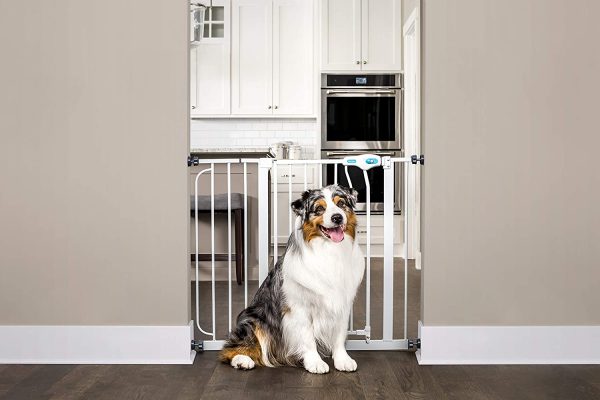 Carlson Extra Wide Pet Gate, with Small pet Door - Image 3