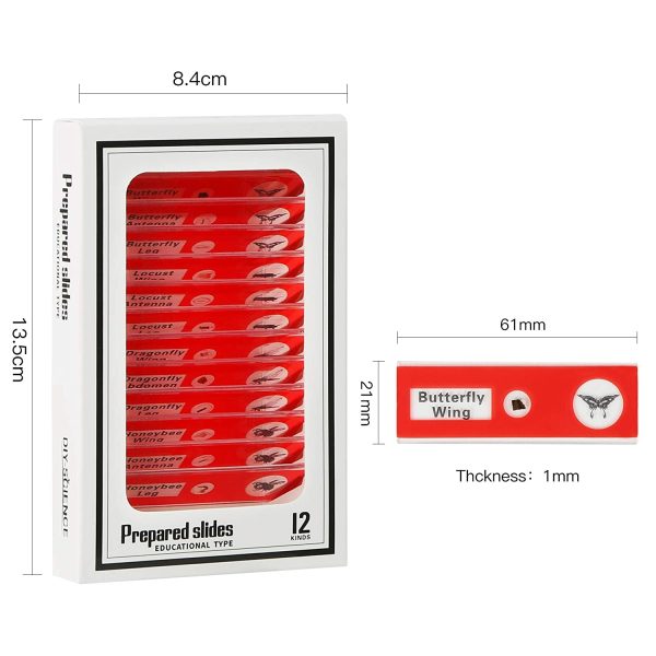 48 Pack Microscope Slide Collection of Insect Animal and Plant Specimens for Basic Biology Education and Science Exhibition Projects for Kids & Students - Image 6