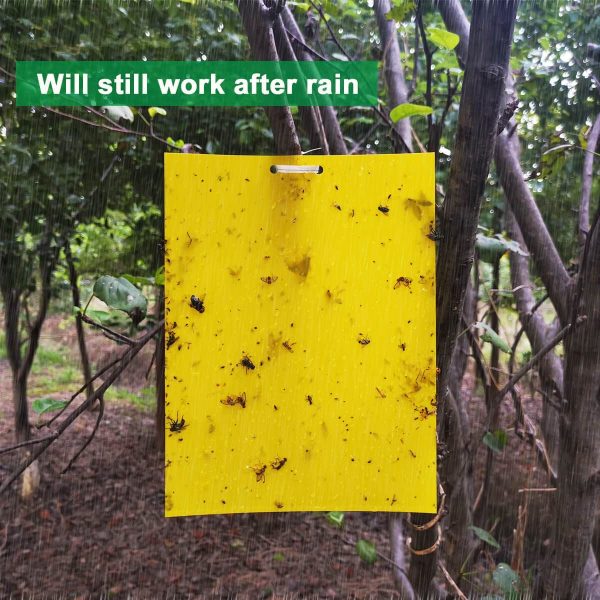 Yellow Sticky Traps, 8x6 Inch, Dual-Sided, 20 Sheets with Twist Ties and Plastic Holders, for Capture Insects Like Flies, Gnats - Image 6