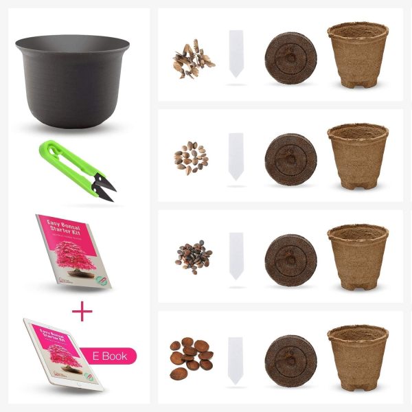 Grow Your own Bonsai kit ??Easily Grow 4 Types of Bonsai Trees with Our Complete Beginner Friendly Bonsai Seeds Starter kit ??Unique Seed kit Gift idea - Image 9