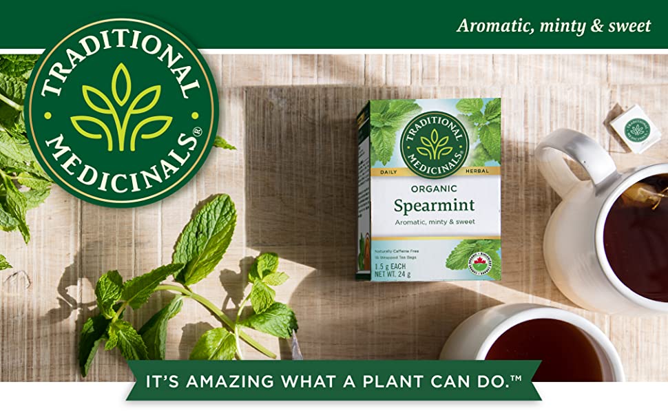 Spearmint Tea