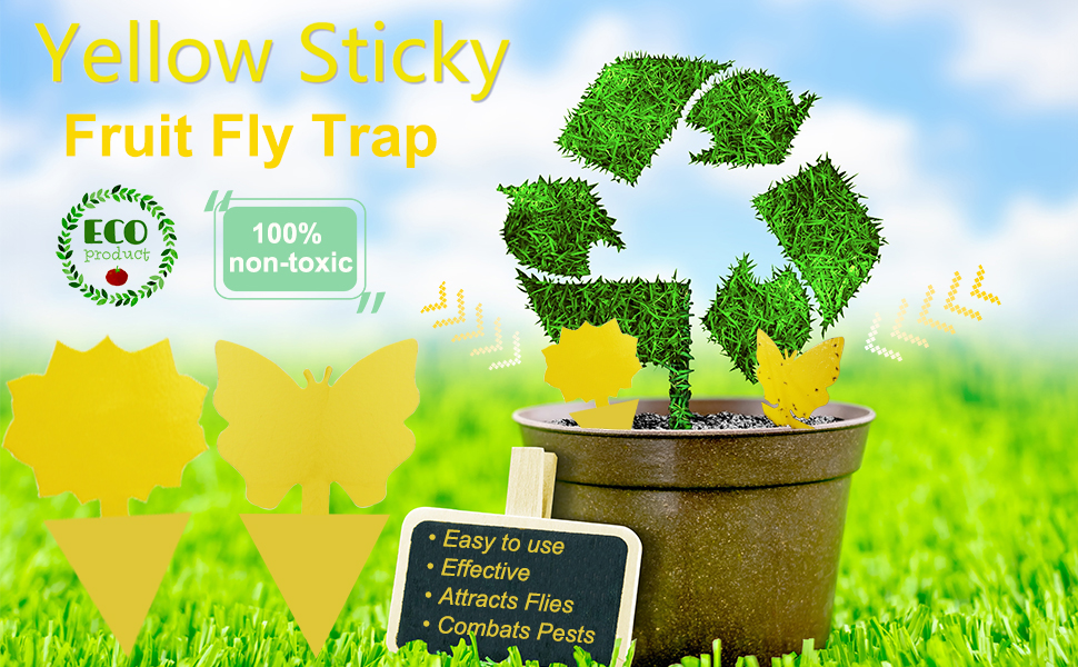 12Pack Yellow Sticky Trap