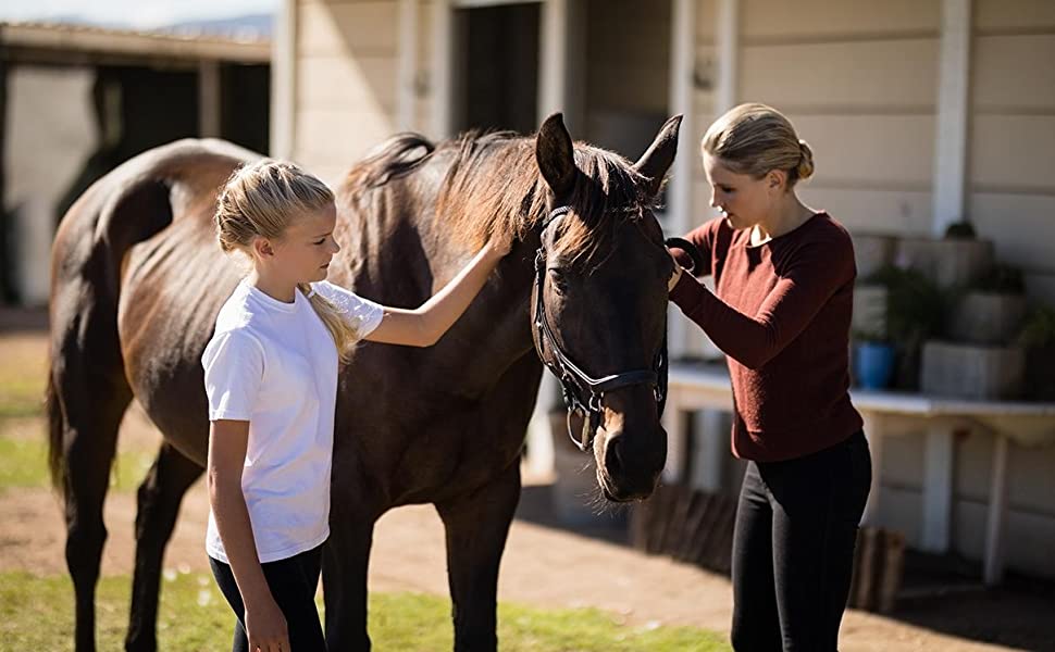 Equus Constantia Premium Synthetic Sponges