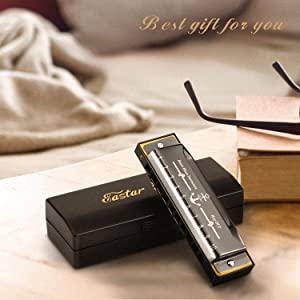 Blues harmonica black